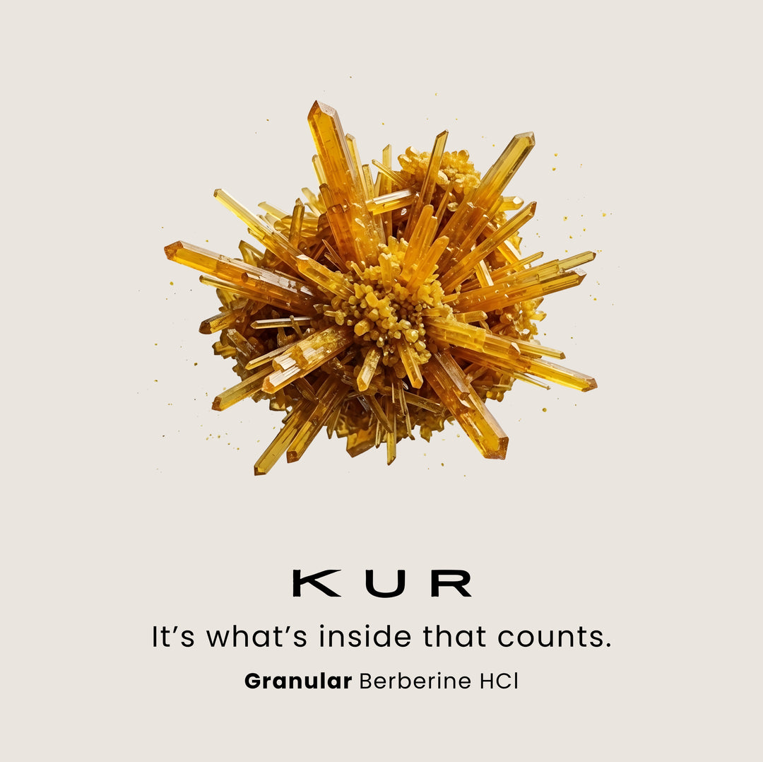 KUR Berberine Metabolic